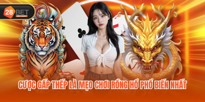Cược gấp thếp là mẹo chơi Rồng Hổ phổ biến nhất Cược gấp thếp là mẹo chơi Rồng Hổ phổ biến nhất