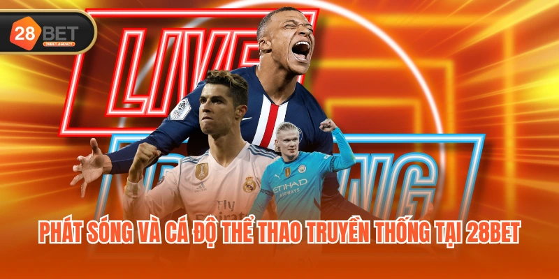 Phát sóng và cá độ thể thao truyền thống tại 28BET Phát sóng và cá độ thể thao truyền thống tại 28BET