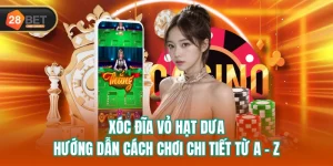 Xóc Đĩa Vỏ Hạt Dưa